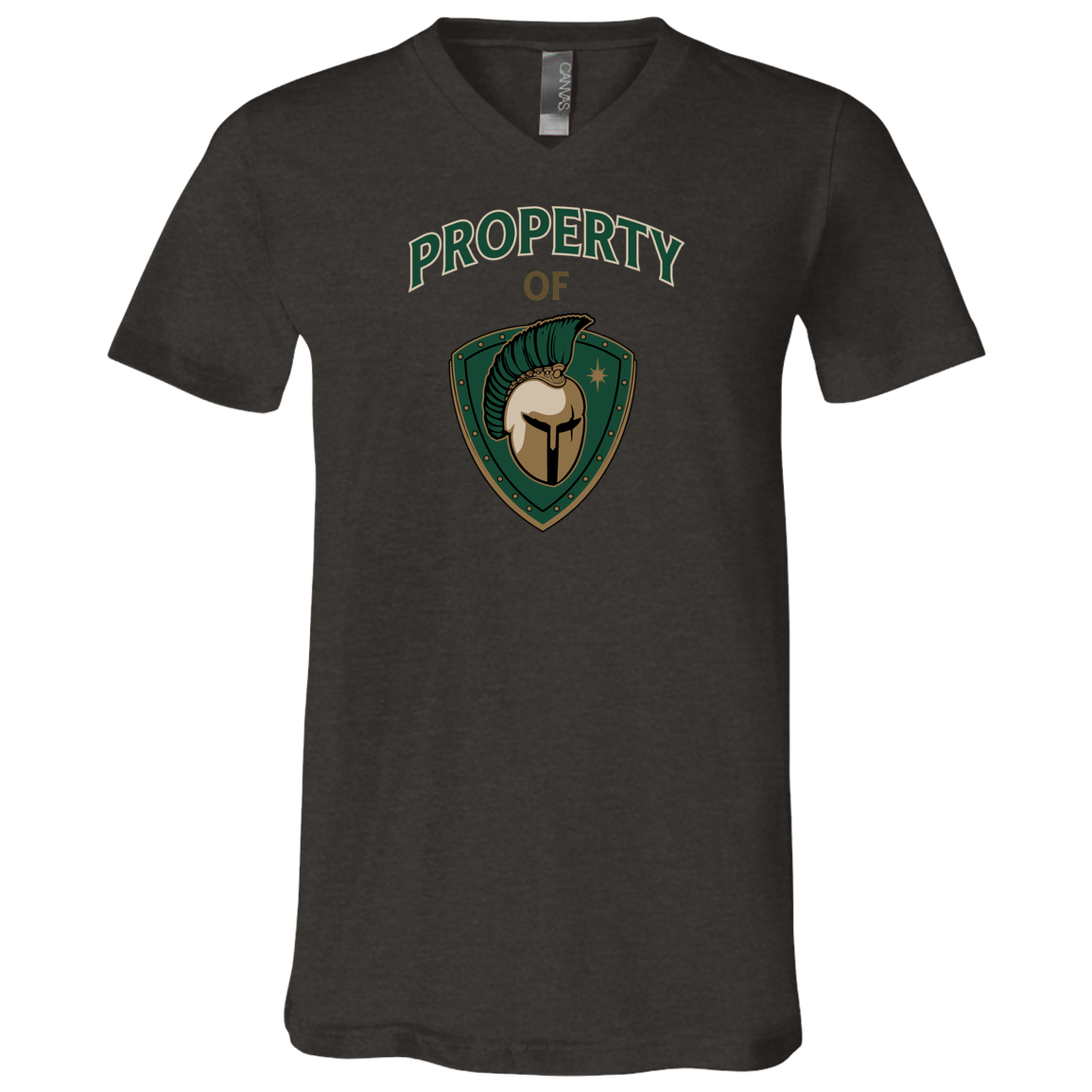 tc-titans-property-of-titans-bella-canvas-unisex-jersey-ss-v-neck-t-shirt — Dark Grey Heather — Front — source sha256 5ec225ff3a7f3cccd20729e4e1e87cef721473a1fc32da95cdbed5ceaec4dfb4 — Color position 3