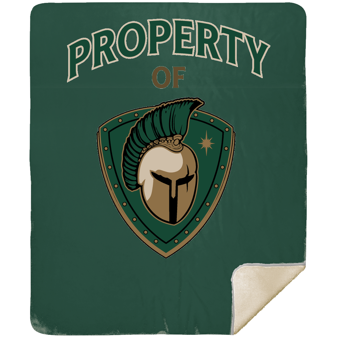 tc-titans-property-of-titans-mshm-premium-sherpa-blanket-50x60 — Forest — Front — source sha256 cdf7284ddecc248791f66c2a58341f8a1562ac345bec6b6c9856a3e5a3adeb2f — Color position 6