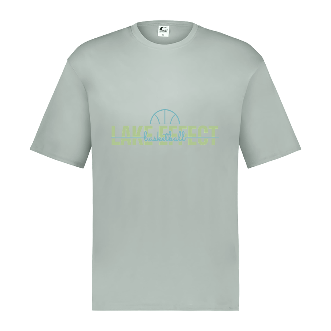 lake-effect-legends-dome-script-c2-mens-performance-short-sleeve-tee — Silver — Front — source sha256 220f68c4a955c0be2f00c2ce4121d3f6d90059002ef887c301398173ea3b98fd — Color position 3