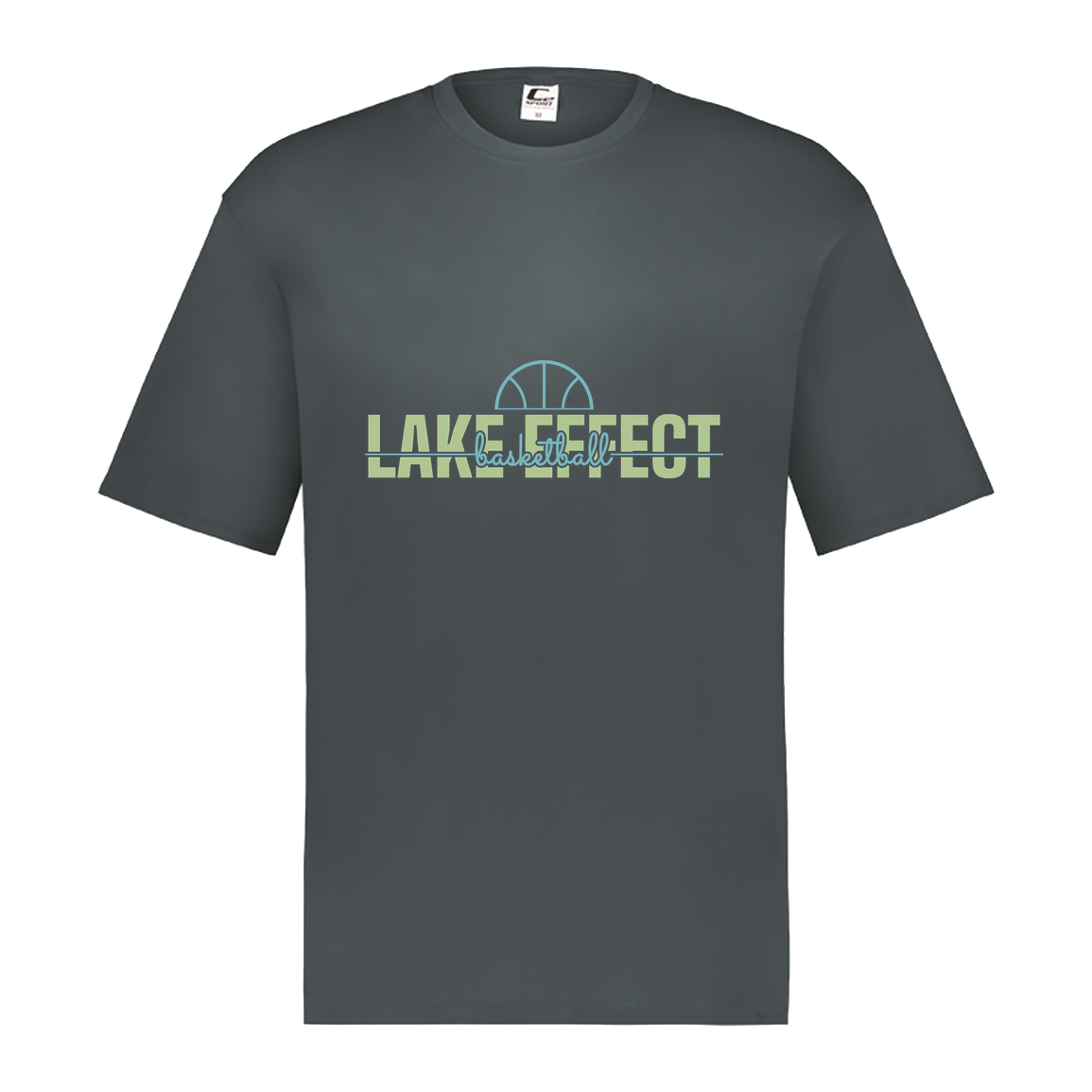lake-effect-legends-dome-script-c2-mens-performance-short-sleeve-tee — Graphite — Front — source sha256 933b0b36529fecb7d17990323f4e143509a25fe4f23731c002b71077d4ceea95 — Color position 2