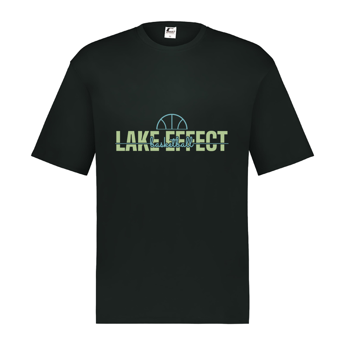 lake-effect-legends-dome-script-c2-mens-performance-short-sleeve-tee — Black — Front — source sha256 fe64a3cfb2b07fcda232cd8b27150afc20e77f5b38ffcf358a899a00fdb0b1c2 — Color position 1