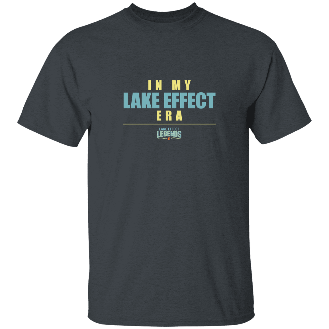 lake-effect-legends-era-stack-gildan-youth-5-3-oz-100-cotton-t-shirt — Dark Heather — Front — source sha256 41a10b3404bc99c0a2d2db6565689f4012ed348c1d2fd493e58ae05c8e2d8416 — Color position 4