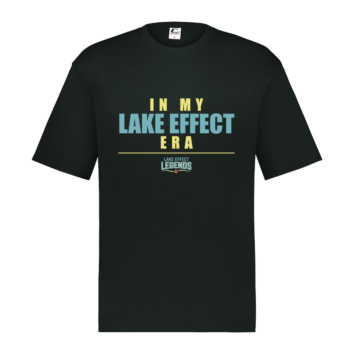 lake-effect-legends-era-stack-c2-mens-performance-short-sleeve-tee — Black — Front — source sha256 5048fe62b6b3103dfd7fccc99421da243f8fb64a5232d089b1fd6a598f3babb4 — Color position 1