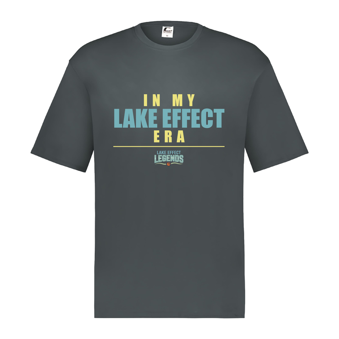 lake-effect-legends-era-stack-c2-mens-performance-short-sleeve-tee — Graphite — Front — source sha256 e773355aa2875d58644303e27425dc3f82542bcc175855d16ad97050bd6dd746 — Color position 2