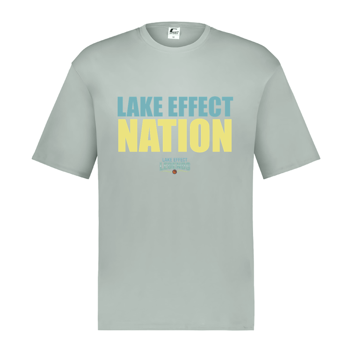 lake-effect-legends-hoops-nation-c2-mens-performance-short-sleeve-tee — Silver — Front — source sha256 2cbd8dd4682806f41bf9a8216c57b2a0e652501f7eb023fdd88a35de1677a1f9 — Color position 3