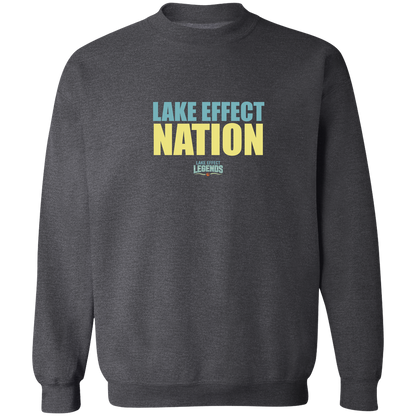 lake-effect-legends-hoops-nation-gildan-crewneck-pullover-sweatshirt — Dark Heather — Front — source sha256 3803fc9ee22d04b287c15f1449d69cb597b841a5a4910e1de1fb06085c3f0efa — Color position 6