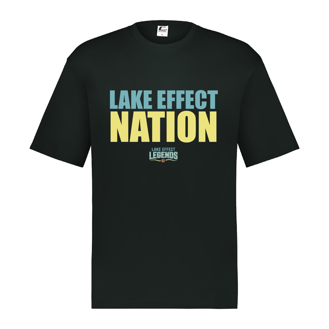 lake-effect-legends-hoops-nation-c2-mens-performance-short-sleeve-tee — Black — Front — source sha256 750c4a699149182a5b5699d21da2de17102920a259a29274868dddd80f9f1c43 — Color position 1