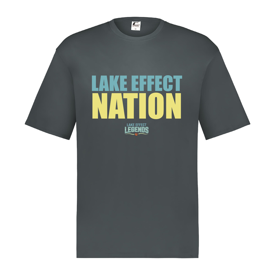 lake-effect-legends-hoops-nation-c2-mens-performance-short-sleeve-tee — Graphite — Front — source sha256 a1af854182cf18afb42cbbbefa102bf58aee8db4a3b4f0d3c2b74baded9ce87c — Color position 2