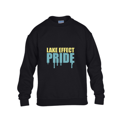lake-effect-legends-pride-drip-gildan-kids-heavy-blend-fleece-crew — Black — Front — source sha256 1241f54c8ad4bca1638f7d87784b71820da76ac5cb664b805dec21b58b61d7df — Color position 1