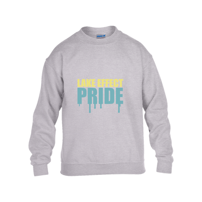 lake-effect-legends-pride-drip-gildan-kids-heavy-blend-fleece-crew — Grey — Front — source sha256 2fa5cf8374c7e03d21cbfd76a19a175684a5090f9bfc6cd598950be763110fd2 — Color position 3