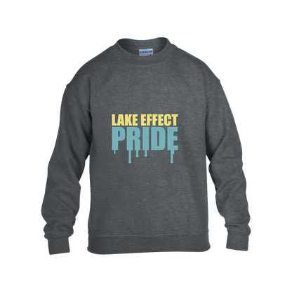 lake-effect-legends-pride-drip-gildan-kids-heavy-blend-fleece-crew — Dark Heather — Front — source sha256 35dbed0884307d75a40130a6ea08ab2ffd8ce5cfa3e5732d3e38c58995a22613 — Color position 2