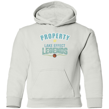 lake-effect-legends-property-of-gildan-youth-pullover-hoodie — White — Front — source sha256 4002349176f93a5a5d86a705b9fe6ae25921a53590678897340f0c41e17a595d — Color position 2