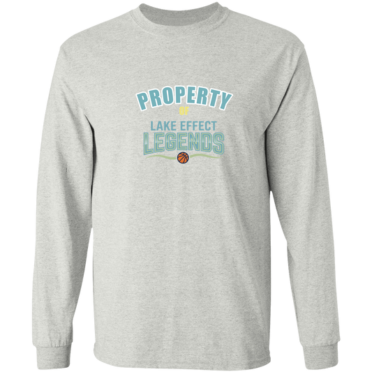 lake-effect-legends-property-of-gildan-ls-t-shirt-5-3-oz — Ash — Front — source sha256 580449f7309bf78f1480cdf3b129c03d28a576b872e69fd044c0c14dfdbfa524 — Color position 1