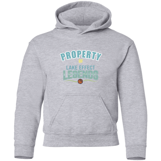 lake-effect-legends-property-of-gildan-youth-pullover-hoodie — Sport Grey — Front — source sha256 81b5f1025cc42c50962b56b4df6e6e9fc322fba9e6197fd173df81da855e66f2 — Color position 1