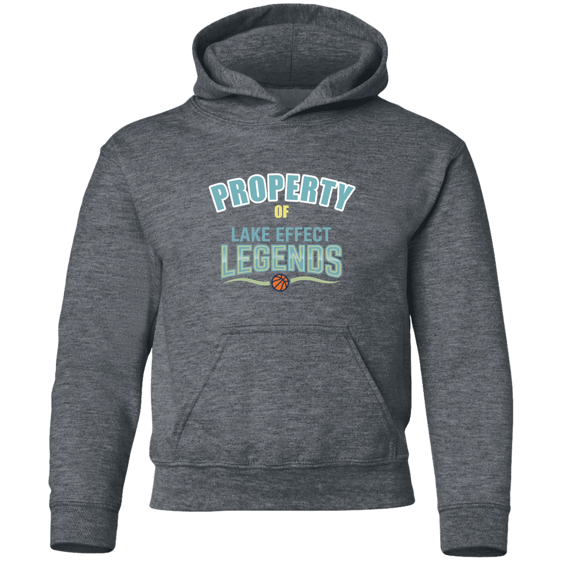 lake-effect-legends-property-of-gildan-youth-pullover-hoodie — Dark Heather — Front — source sha256 b0bed497c0afc632884d6b3000cad4c2a35c34c4df90780a59f2130a54364d3f — Color position 4