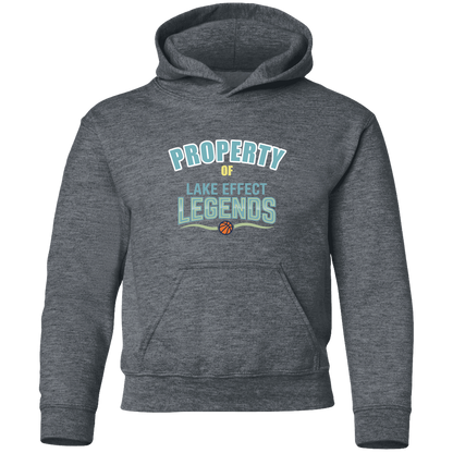 lake-effect-legends-property-of-gildan-youth-pullover-hoodie — Dark Heather — Front — source sha256 b0bed497c0afc632884d6b3000cad4c2a35c34c4df90780a59f2130a54364d3f — Color position 4