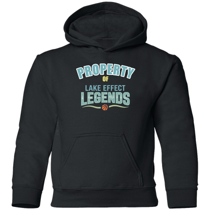 lake-effect-legends-property-of-gildan-youth-pullover-hoodie — Black — Front — source sha256 e9071f4bee2cc011507d4a6be6985a8042d56b0b343dc29f6596b83ea42c2331 — Color position 3