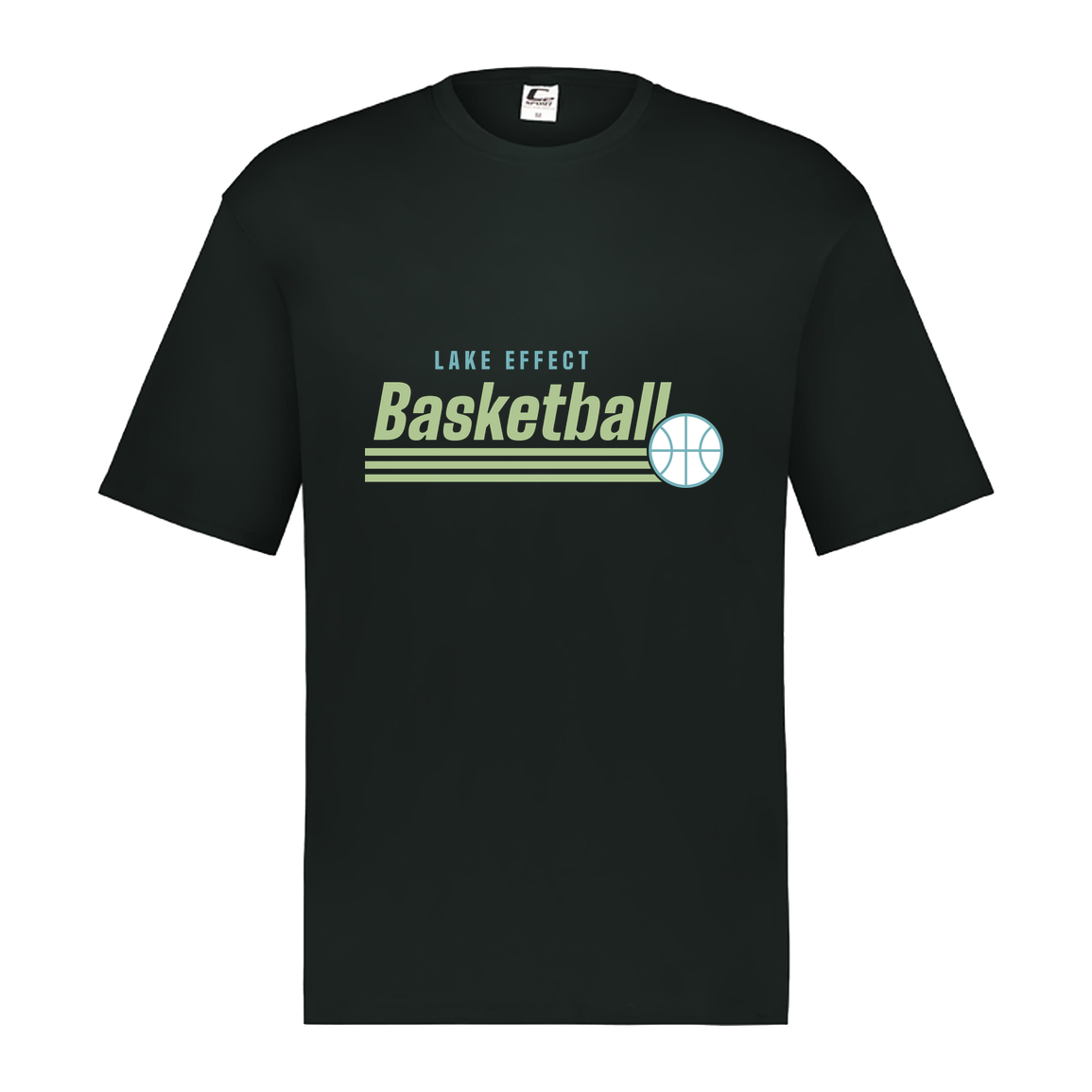 lake-effect-legends-retro-stripes-c2-mens-performance-short-sleeve-tee — Black — Front — source sha256 8e62c4ba8165d74ea364d5c0f7e77775477d112aac7721b3bd87039f6106d2a4 — Color position 1