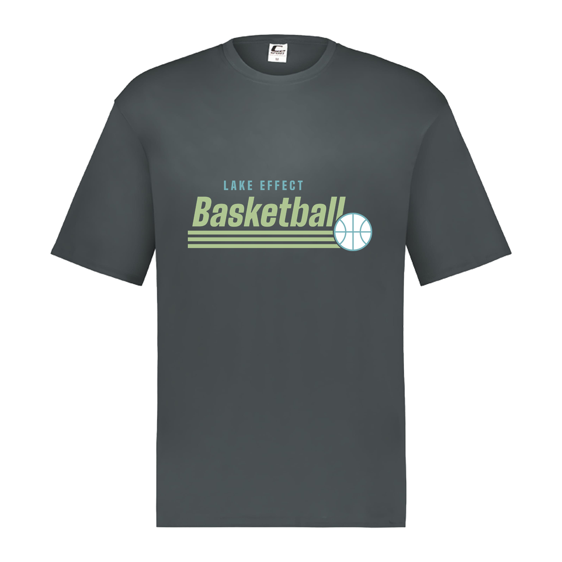 lake-effect-legends-retro-stripes-c2-mens-performance-short-sleeve-tee — Graphite — Front — source sha256 e83f57fa614183672360f8855cc68277f3e0fce64da8747c1c7ed80544dfa432 — Color position 2