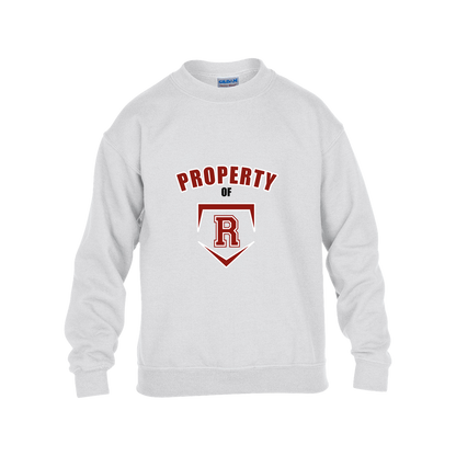rally-stx-property-of-gildan-kids-heavy-blend-fleece-crew — White — Front — source sha256 00a4a6718525cb2b5ba7df863ae50fb6d298688edf29cb32a7a2a4e17d612f30 — Color position 4