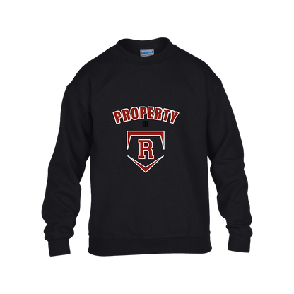 rally-stx-property-of-gildan-kids-heavy-blend-fleece-crew — Black — Front — source sha256 11d4bf5f2c36f61377418cefcd8505457366c709973254e3d3eb3f3d6aaaaa9f — Color position 1