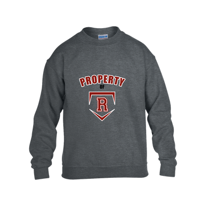 rally-stx-property-of-gildan-kids-heavy-blend-fleece-crew — Dark Heather — Front — source sha256 153da39569bebcfda9533ccff7ad548769b447a56ed2d1419f02057a0c0d489d — Color position 2