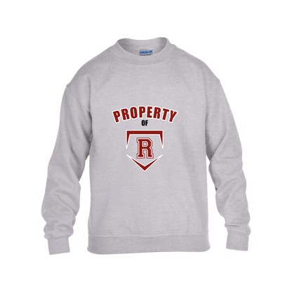 rally-stx-property-of-gildan-kids-heavy-blend-fleece-crew — Grey — Front — source sha256 46e9b4cff7dc695fbce6f4435fe7f2f9c3f374f624040e8913e9434bd73964e3 — Color position 3