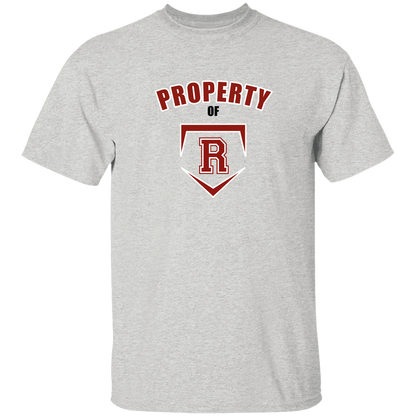 rally-stx-property-of-gildan-youth-5-3-oz-100-cotton-t-shirt — Ash — Front — source sha256 f79fe86ddb9aa08442ac0708ab92293501df277ab400d096400e76945451897a — Color position 3
