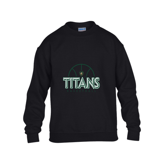 tc-titans-ball-dome-gildan-kids-heavy-blend-fleece-crew — Black — Front — source sha256 4a7b304e80449f036d9487de918857fa0e7ef3e7bee9d90af5c19b8907f98db0 — Color position 1