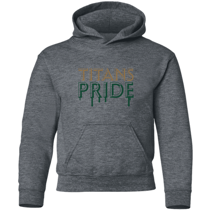 tc-titans-pride-drip-gildan-youth-pullover-hoodie — Dark Heather — Front — source sha256 e05ff86b0bd6ce1c4a4888bb8ac533c0d2f73ddd011fbcc18a386bd2d1e938aa — Color position 4