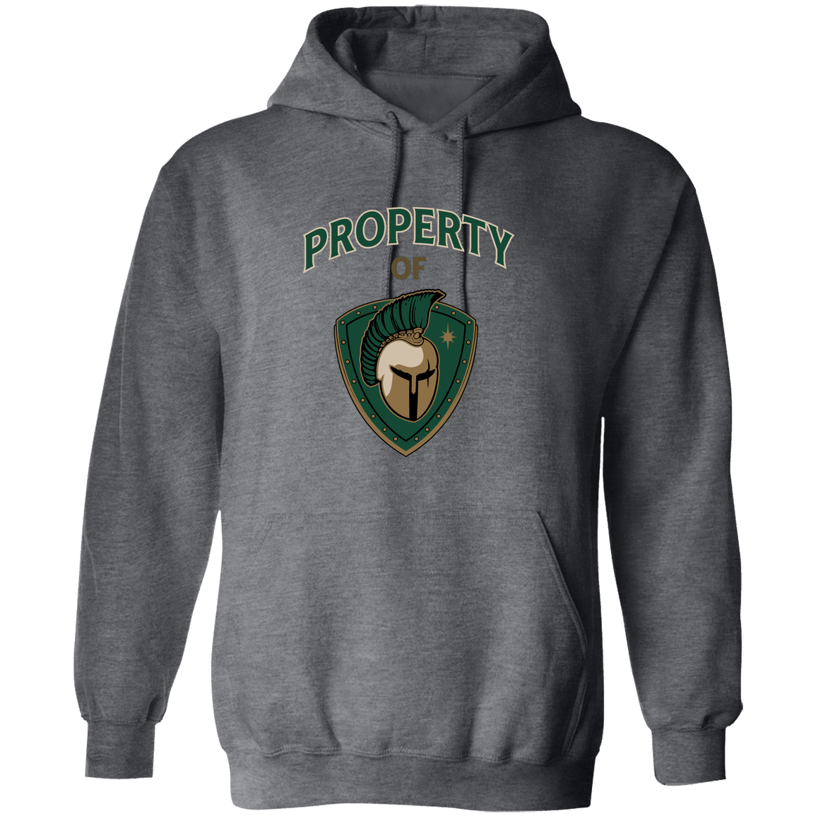 tc-titans-property-of-titans-gildan-pullover-hoodie — Dark Heather — Front — source sha256 044955cfef41168886d3404a8f54ab3fdea187cbb06ff7179e9232cb3549372a — Color position 6