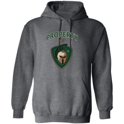 tc-titans-property-of-titans-gildan-pullover-hoodie — Dark Heather — Front — source sha256 044955cfef41168886d3404a8f54ab3fdea187cbb06ff7179e9232cb3549372a — Color position 6