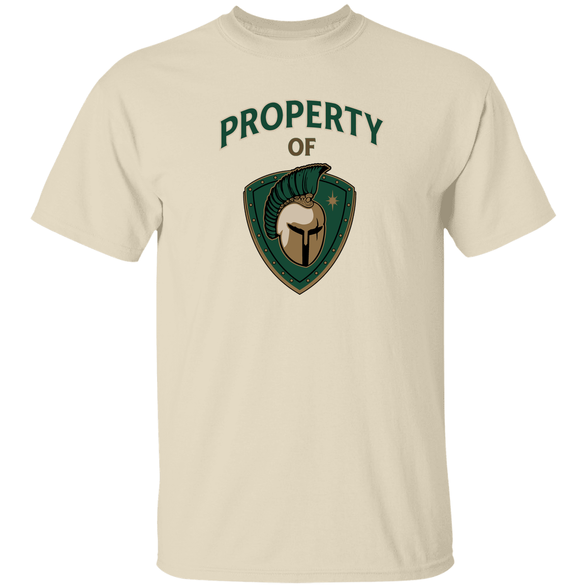 tc-titans-property-of-titans-gildan-5-3-oz-t-shirt — Natural — Front — source sha256 04cace19213c09ad5ba480c32f54c8febf813d135919b053e051dc6bc8ade871 — Color position 2