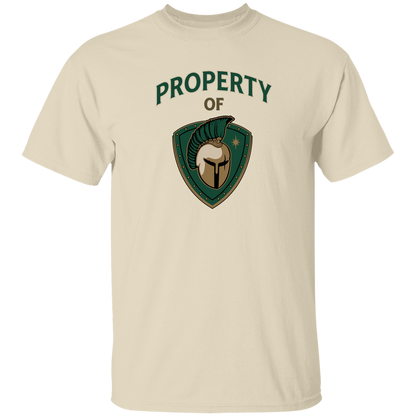 tc-titans-property-of-titans-gildan-5-3-oz-t-shirt — Natural — Front — source sha256 04cace19213c09ad5ba480c32f54c8febf813d135919b053e051dc6bc8ade871 — Color position 2