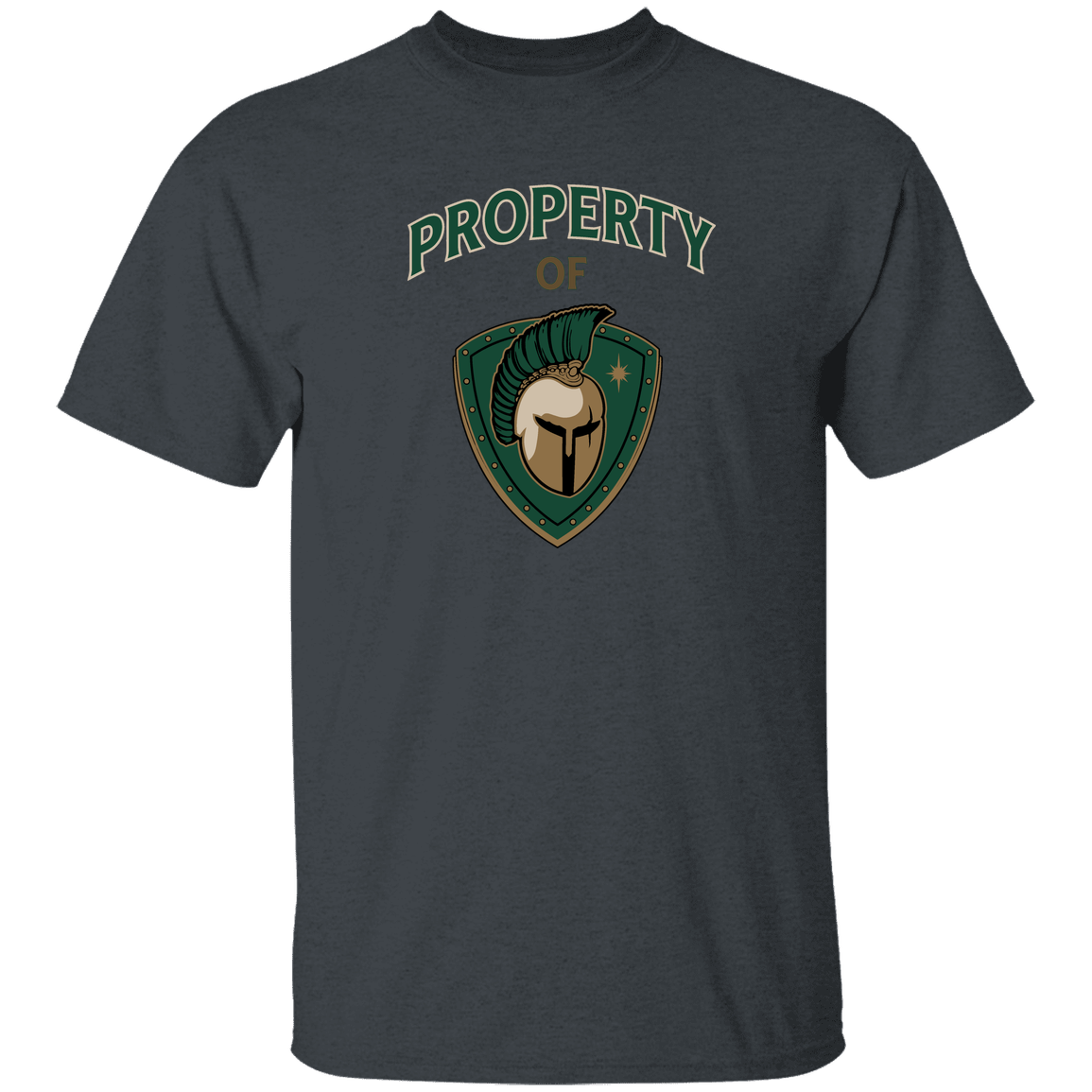 tc-titans-property-of-titans-gildan-youth-5-3-oz-100-cotton-t-shirt — Dark Heather — Front — source sha256 1a60f0d421a4cdd673381a5746b8cddbb0a867a70821024f712df1cd55eb96e8 — Color position 4