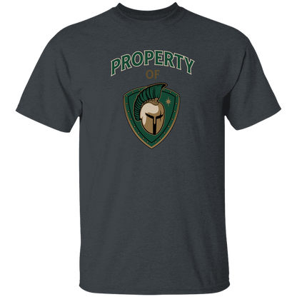 tc-titans-property-of-titans-gildan-youth-5-3-oz-100-cotton-t-shirt — Dark Heather — Front — source sha256 1a60f0d421a4cdd673381a5746b8cddbb0a867a70821024f712df1cd55eb96e8 — Color position 4