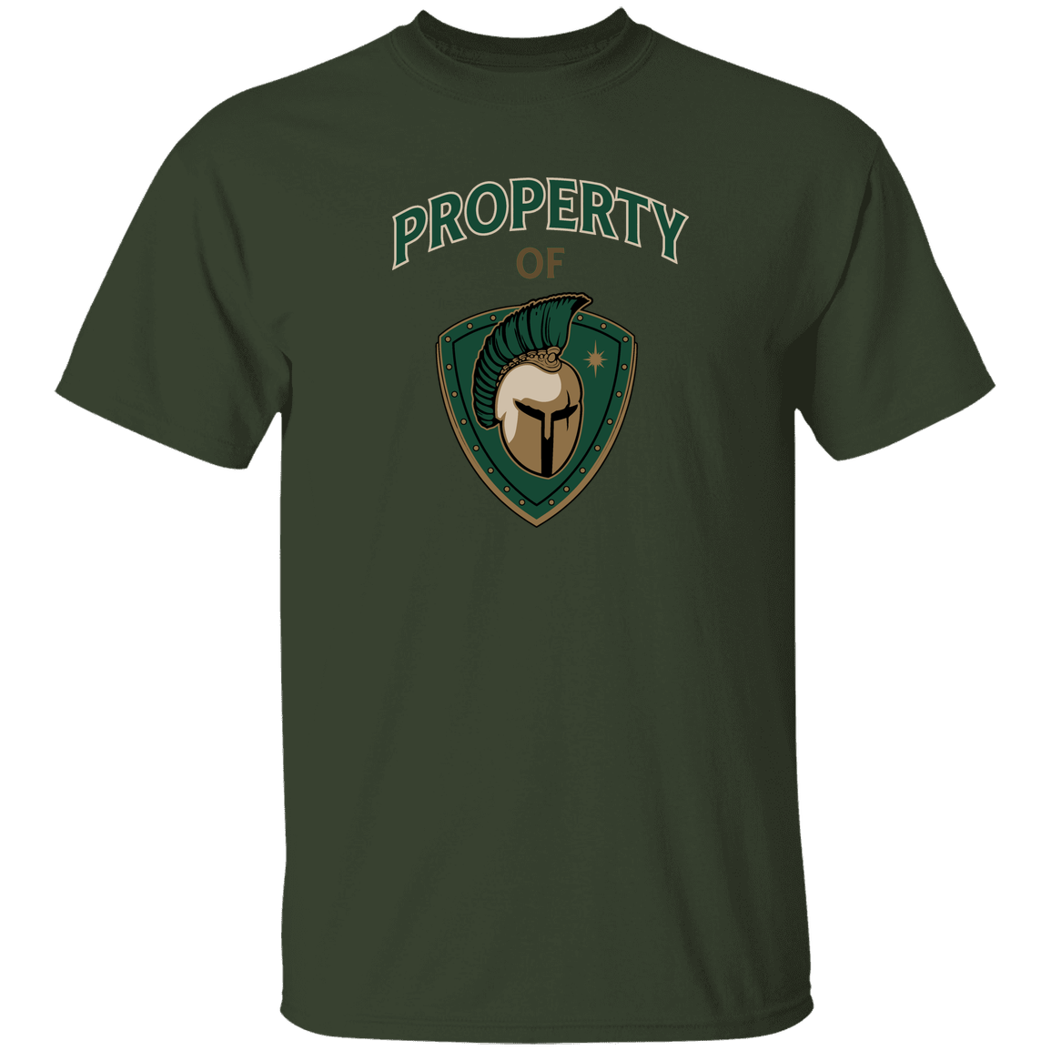 tc-titans-property-of-titans-gildan-5-3-oz-t-shirt — Forest — Front — source sha256 1d1049b2af47071b5e5b1e51b3a5016e4e6a2efabb7e65e2493421cee6db7b00 — Color position 7