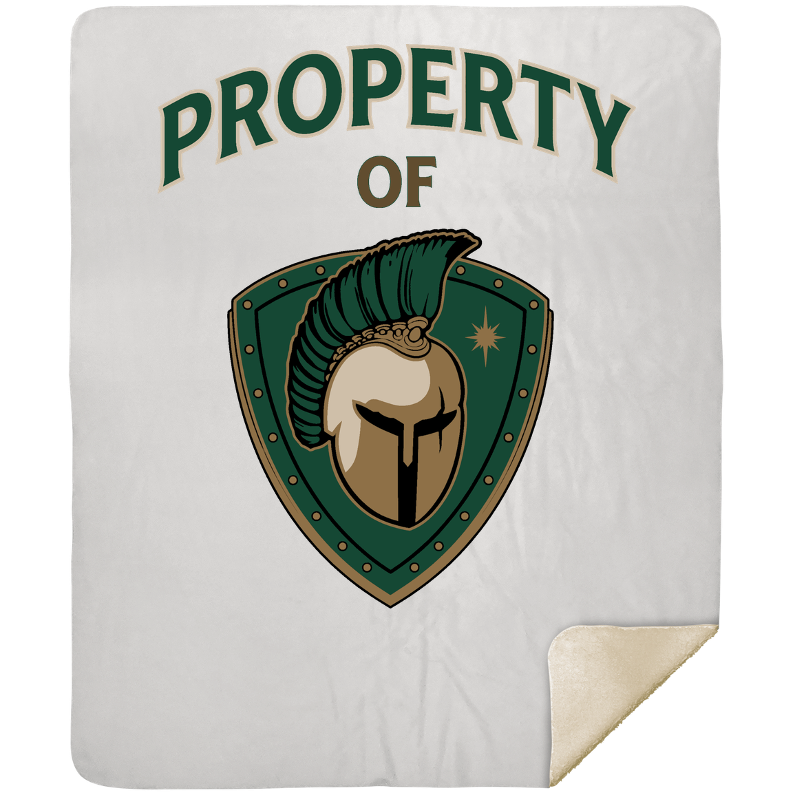 tc-titans-property-of-titans-mshm-premium-sherpa-blanket-50x60 — White — Front — source sha256 1db45152e06396878a0b24ee503d4550e184fff39b5322a7bd632931bc30fa72 — Color position 1