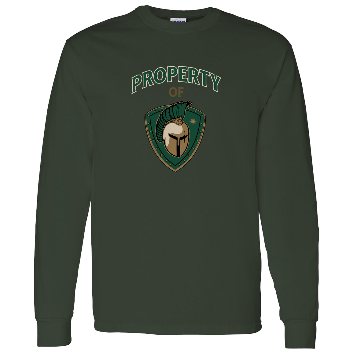 tc-titans-property-of-titans-gildan-ls-t-shirt-5-3-oz — Forest Green — Front — source sha256 2a89a5f4519b29a687e80b2f68d47c5f5d13773a8cf2de27988e81fb5d0575aa — Color position 6