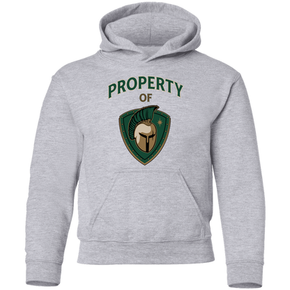 tc-titans-property-of-titans-gildan-youth-pullover-hoodie — Sport Grey — Front — source sha256 2a98eabd218940d5999b5338a40b0afbcfc17d425de71adac41608628ba59661 — Color position 1
