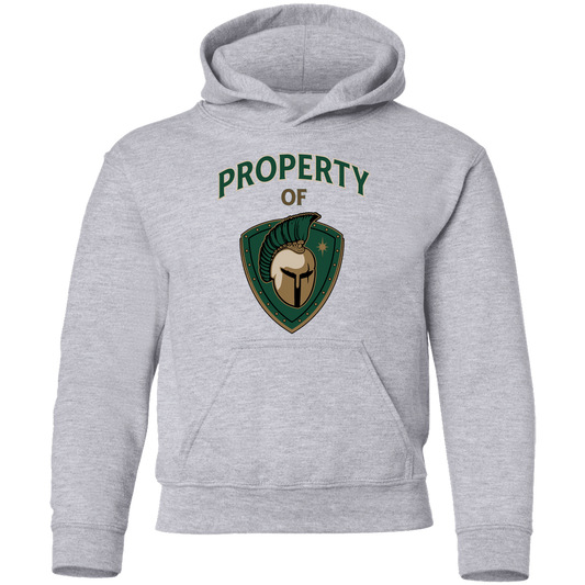 tc-titans-property-of-titans-gildan-youth-pullover-hoodie — Sport Grey — Front — source sha256 2a98eabd218940d5999b5338a40b0afbcfc17d425de71adac41608628ba59661 — Color position 1