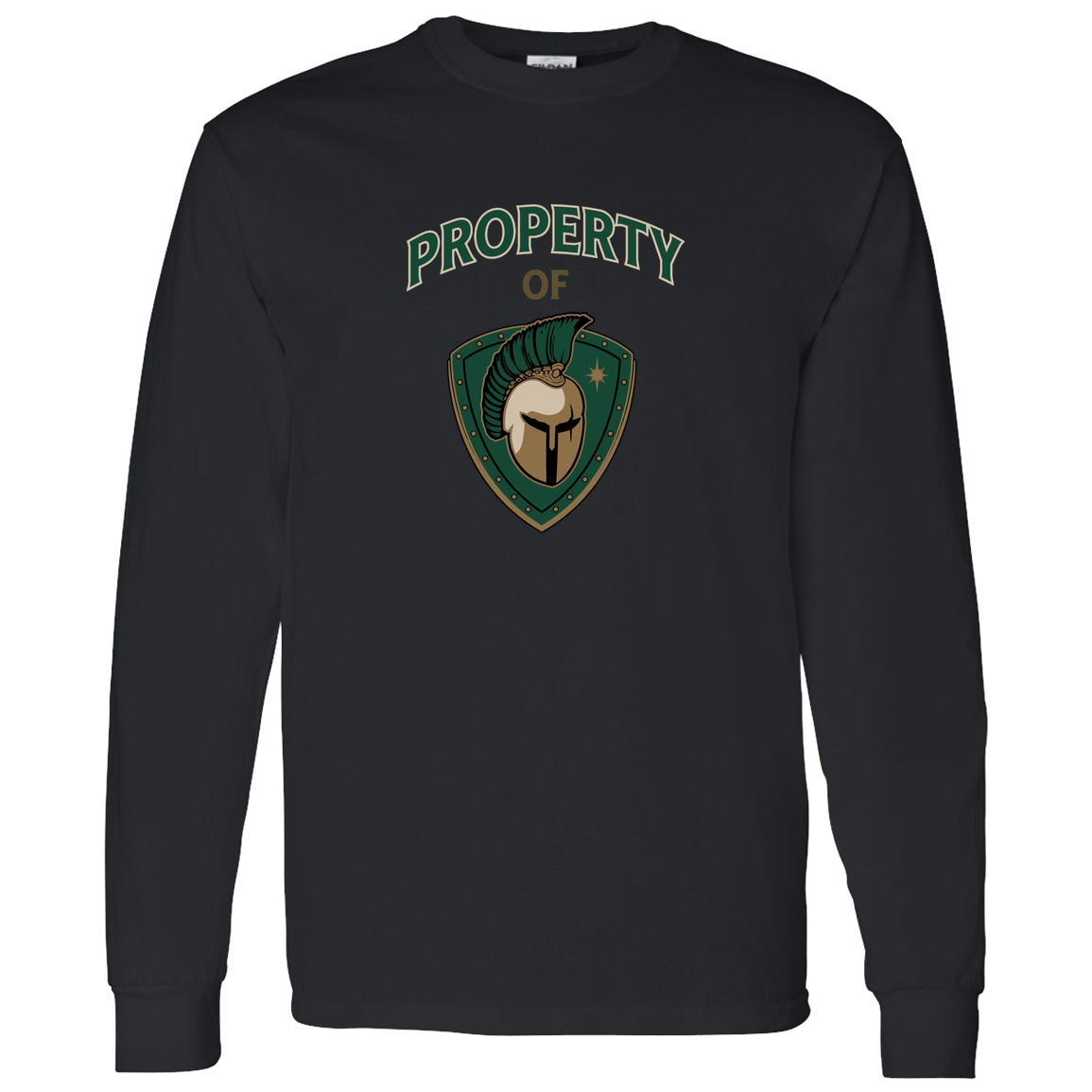 tc-titans-property-of-titans-gildan-ls-t-shirt-5-3-oz — Black — Front — source sha256 2c153aa869ab43ed2f6d4cd182e88a3741fee5dd809cefc54b266386ac7195ff — Color position 4