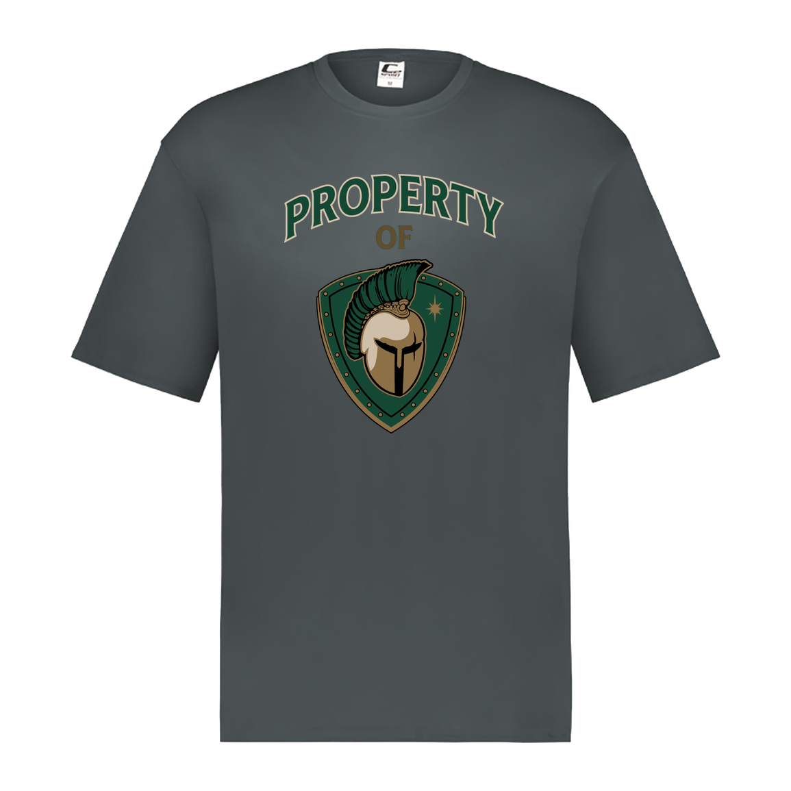 tc-titans-property-of-titans-c2-mens-performance-short-sleeve-tee — Graphite — Front — source sha256 2d2a0867281a41b54ba89ab5434877df5dfed4364afff432b99730cfc2627063 — Color position 2