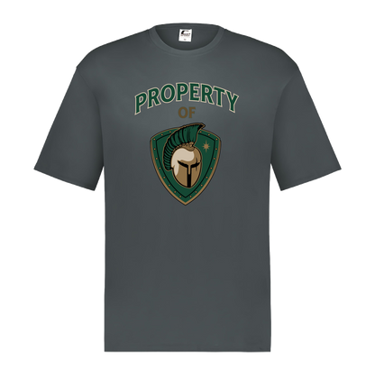 tc-titans-property-of-titans-c2-mens-performance-short-sleeve-tee — Graphite — Front — source sha256 2d2a0867281a41b54ba89ab5434877df5dfed4364afff432b99730cfc2627063 — Color position 2