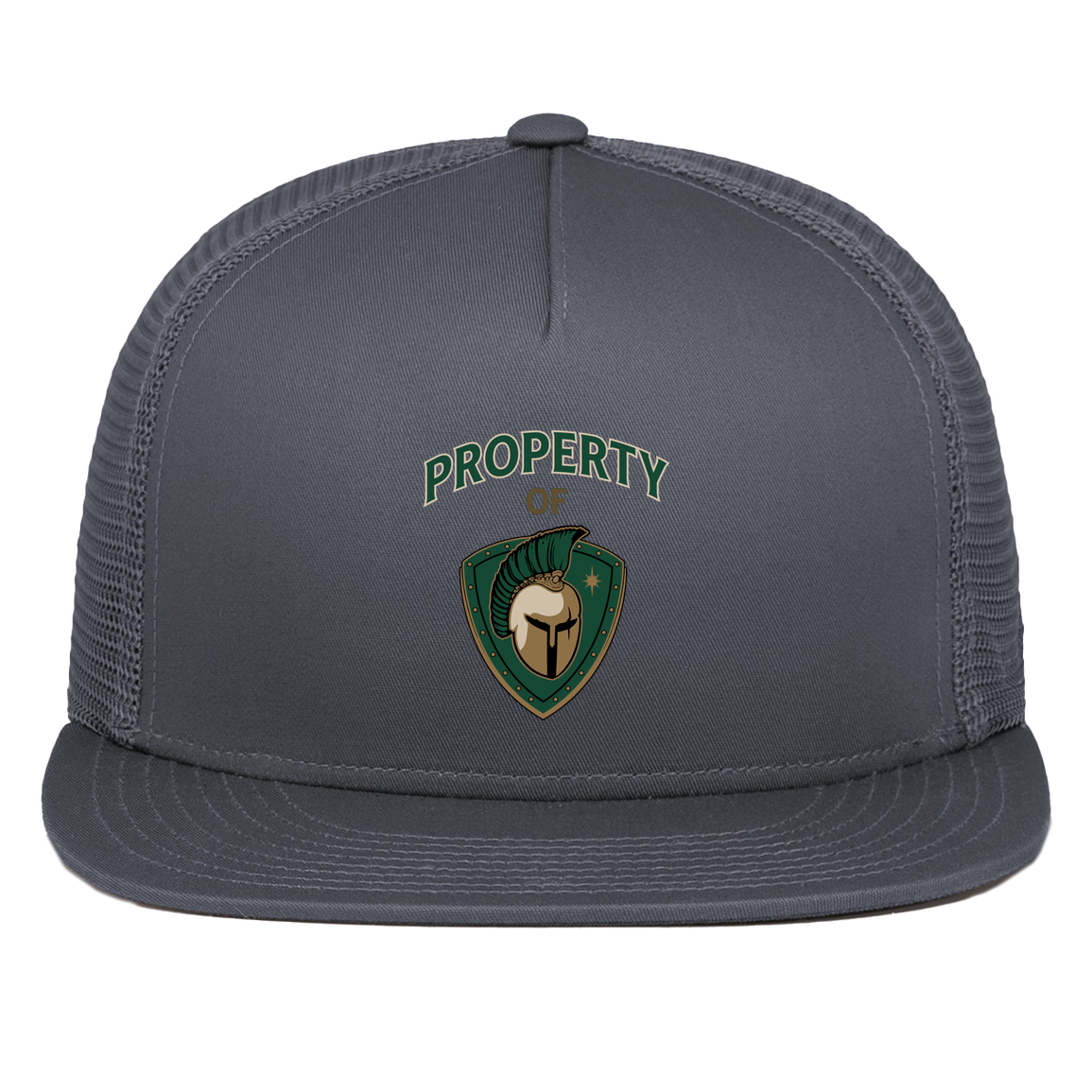 tc-titans-property-of-titans-pacific-headwear-d-series-5-panel-trucker-snapback-cap — Graphite — Front — source sha256 305f874ee31fbe677f0c8469e9d36a773cc7d82a48feada51d143e836f0aaf8d — Color position 3