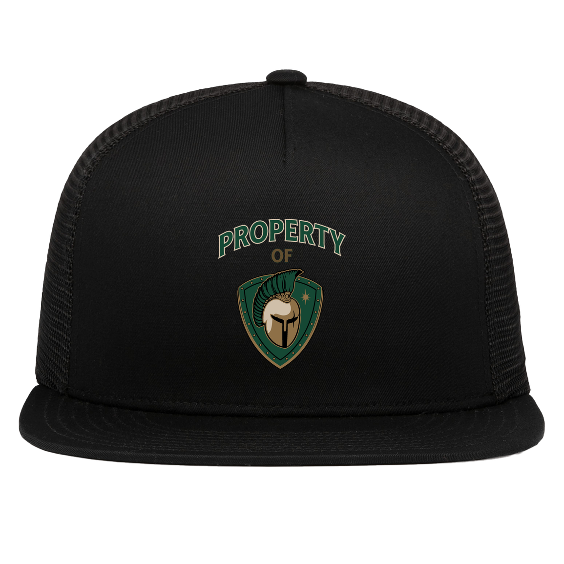 tc-titans-property-of-titans-pacific-headwear-d-series-5-panel-trucker-snapback-cap — Black — Front — source sha256 360b543381dd77e15298ba8b037c248fd59700587dd09ac93d3774190e499ca1 — Color position 1