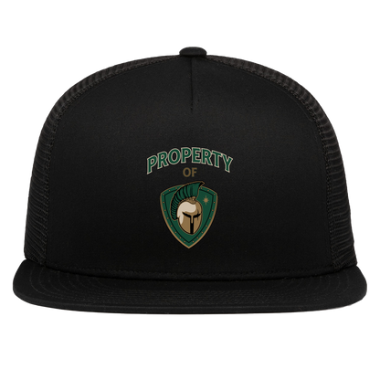 tc-titans-property-of-titans-pacific-headwear-d-series-5-panel-trucker-snapback-cap — Black — Front — source sha256 360b543381dd77e15298ba8b037c248fd59700587dd09ac93d3774190e499ca1 — Color position 1