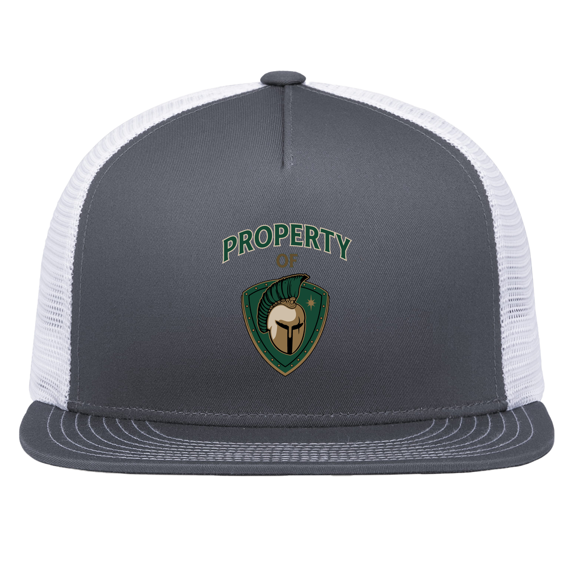 tc-titans-property-of-titans-pacific-headwear-d-series-5-panel-trucker-snapback-cap — Graphite/White — Front — source sha256 402afa511ee673c9563ac158912ab444bd16bb9580bbd08d326f79bce952b941 — Color position 4