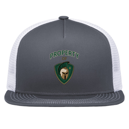 tc-titans-property-of-titans-pacific-headwear-d-series-5-panel-trucker-snapback-cap — Graphite/White — Front — source sha256 402afa511ee673c9563ac158912ab444bd16bb9580bbd08d326f79bce952b941 — Color position 4