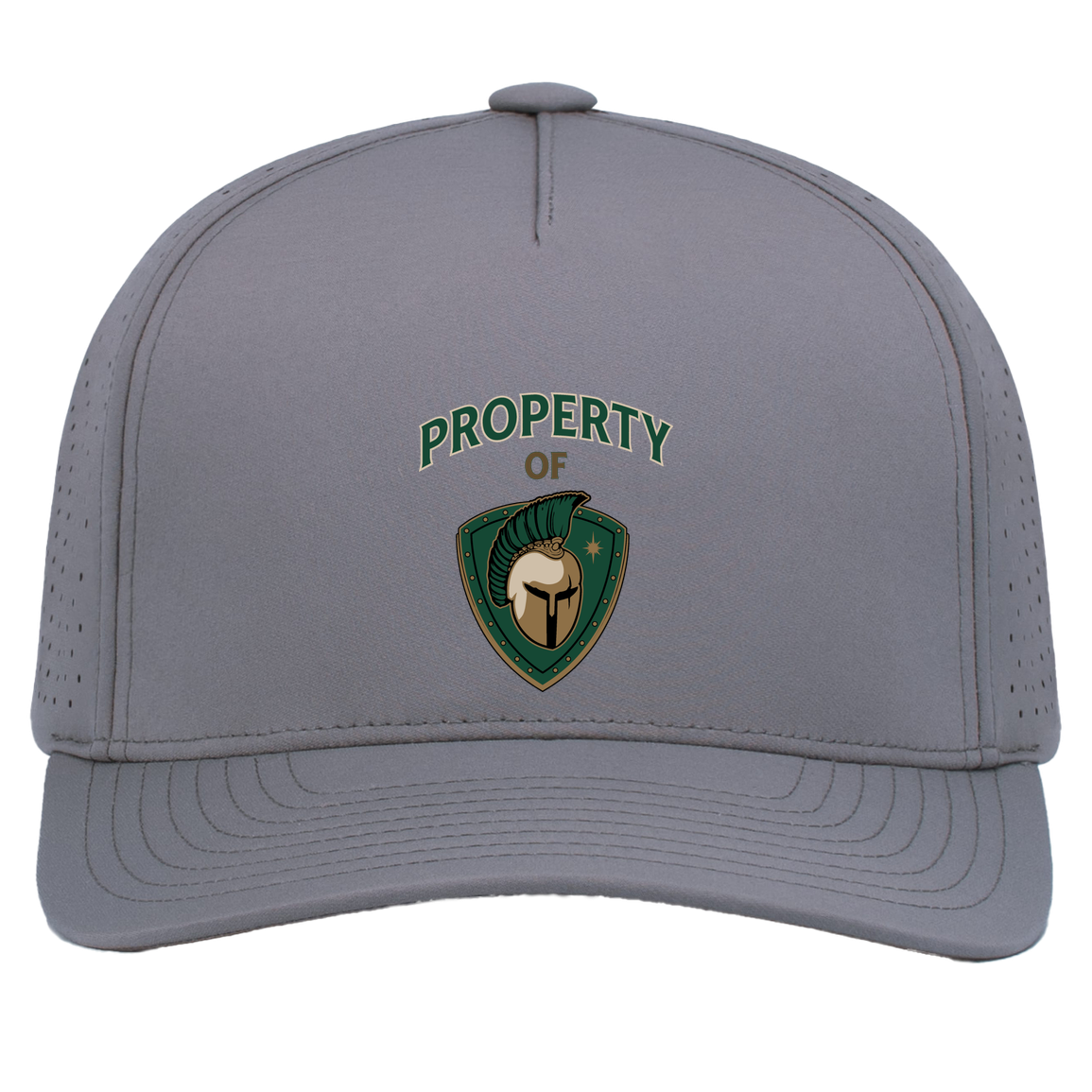 tc-titans-property-of-titans-pacific-headwear-weekender-perforated-snapback-cap — Graphite — Front — source sha256 48c4ae9c700f4fb7c27cb9b47bb35588015296c24dfce5536c028c910b979080 — Color position 4